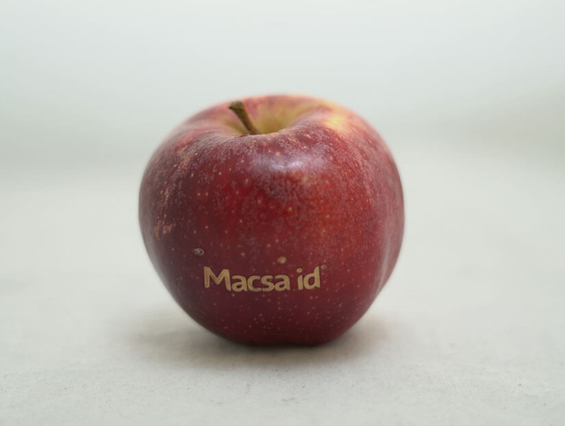 forbes_macsa_materials_organic_01