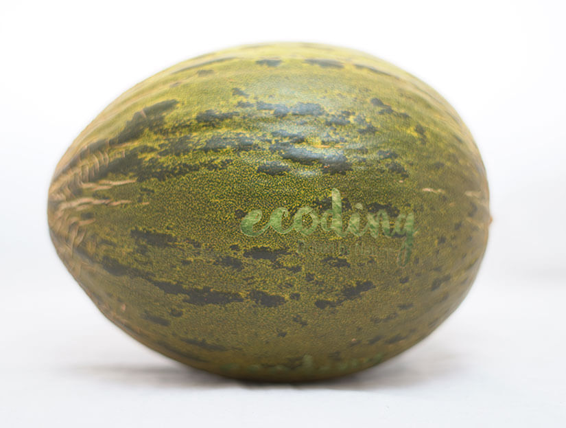 forbes_macsa_materials_organic_02