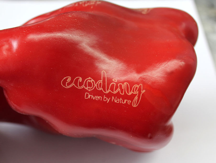 forbes_macsa_materials_organic_03