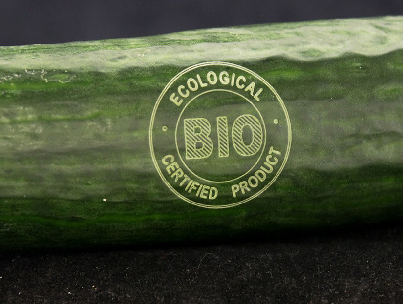 forbes_macsa_materials_organic_05