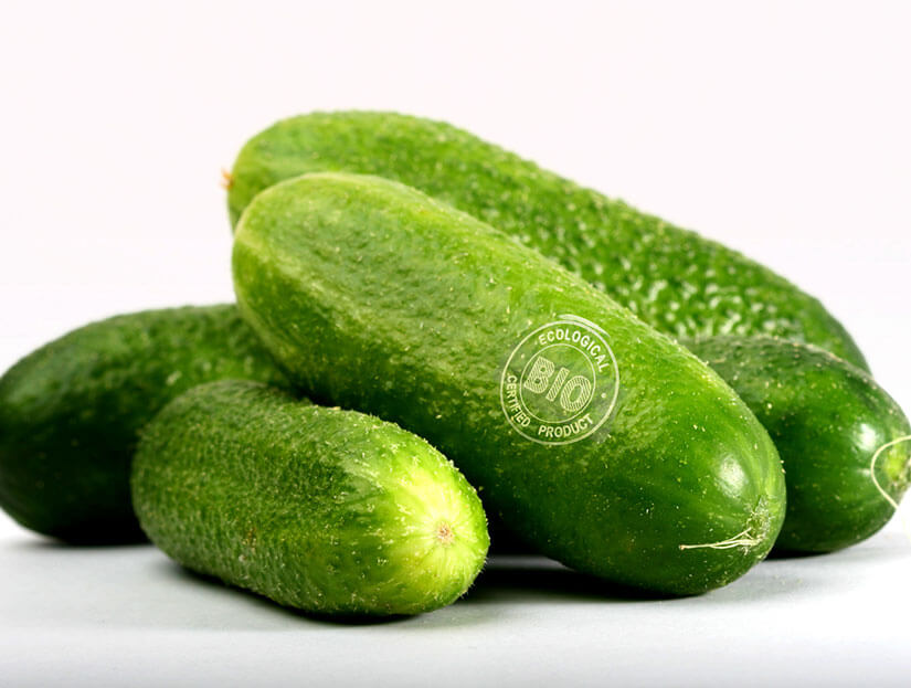 forbes_macsa_materials_organic_06