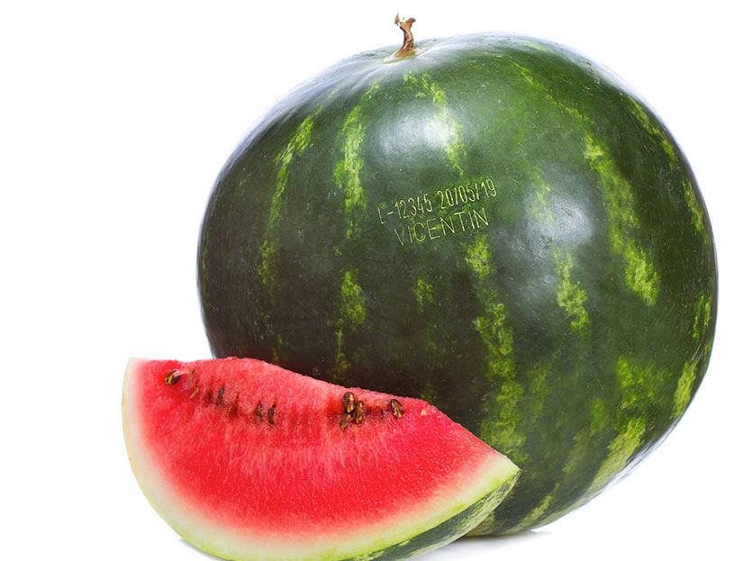 forbes_macsa_materials_organic_07